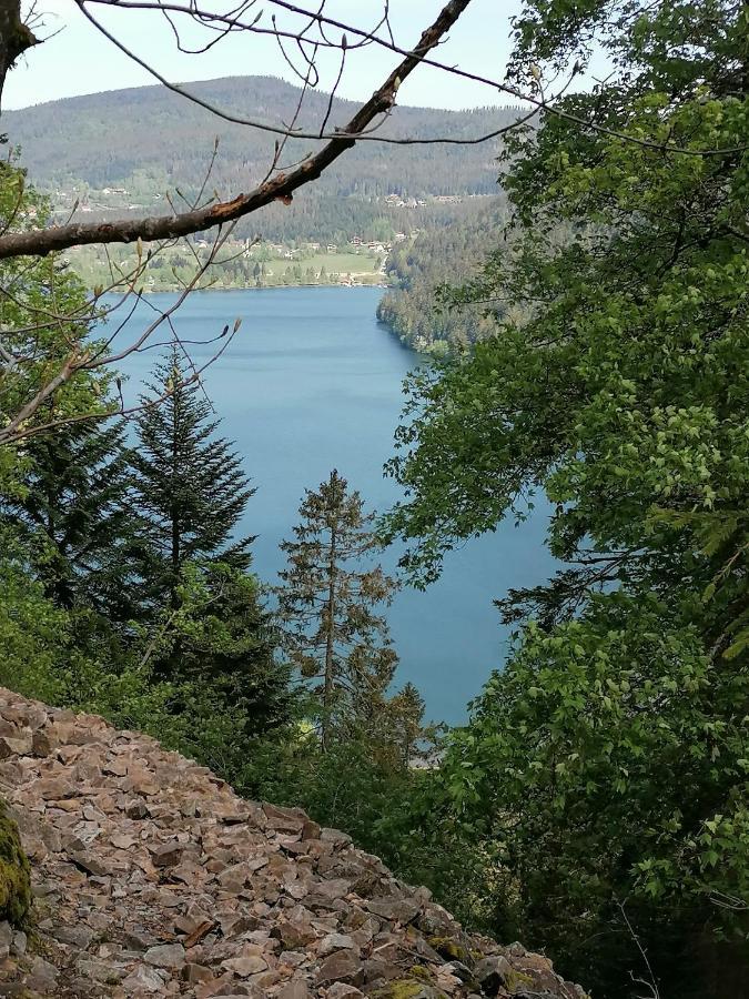 Chalet Au Bord Du Lac De Longemer Xonrupt-Longemer ภายนอก รูปภาพ