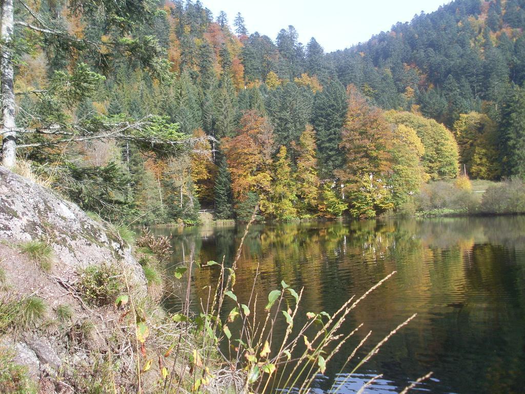 Chalet Au Bord Du Lac De Longemer Xonrupt-Longemer ห้อง รูปภาพ