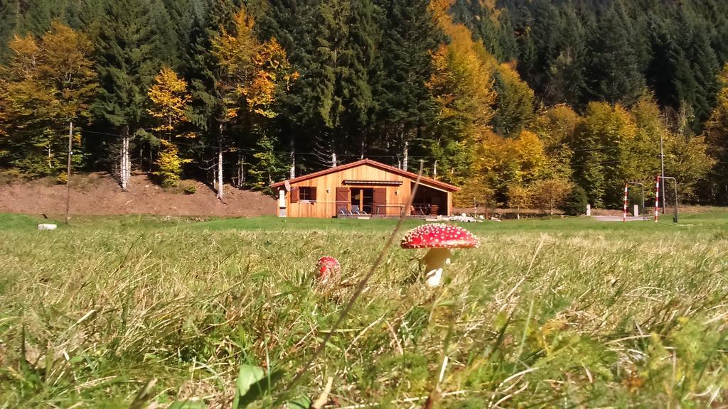 Chalet Au Bord Du Lac De Longemer Xonrupt-Longemer ภายนอก รูปภาพ