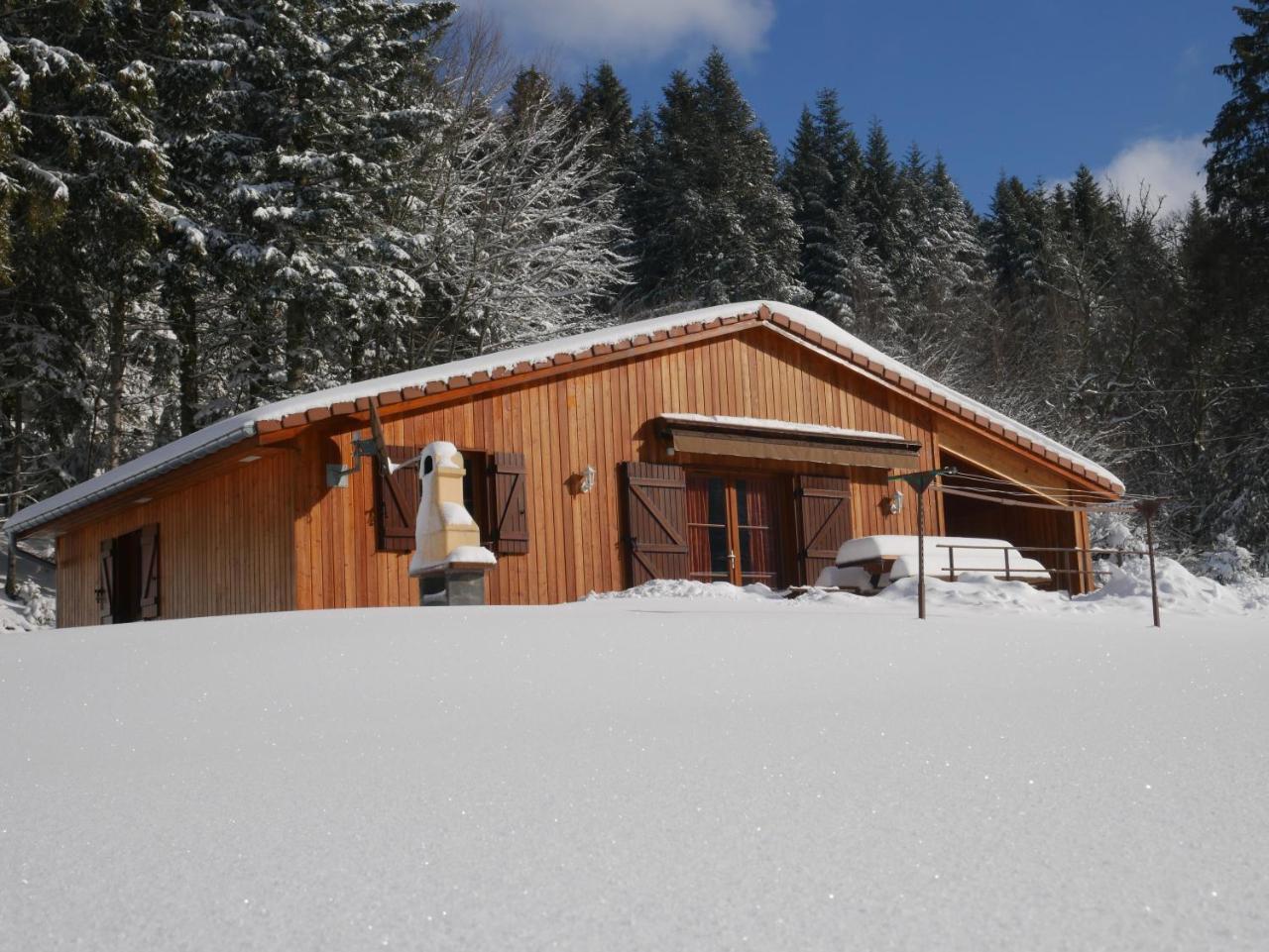 Chalet Au Bord Du Lac De Longemer Xonrupt-Longemer ภายนอก รูปภาพ