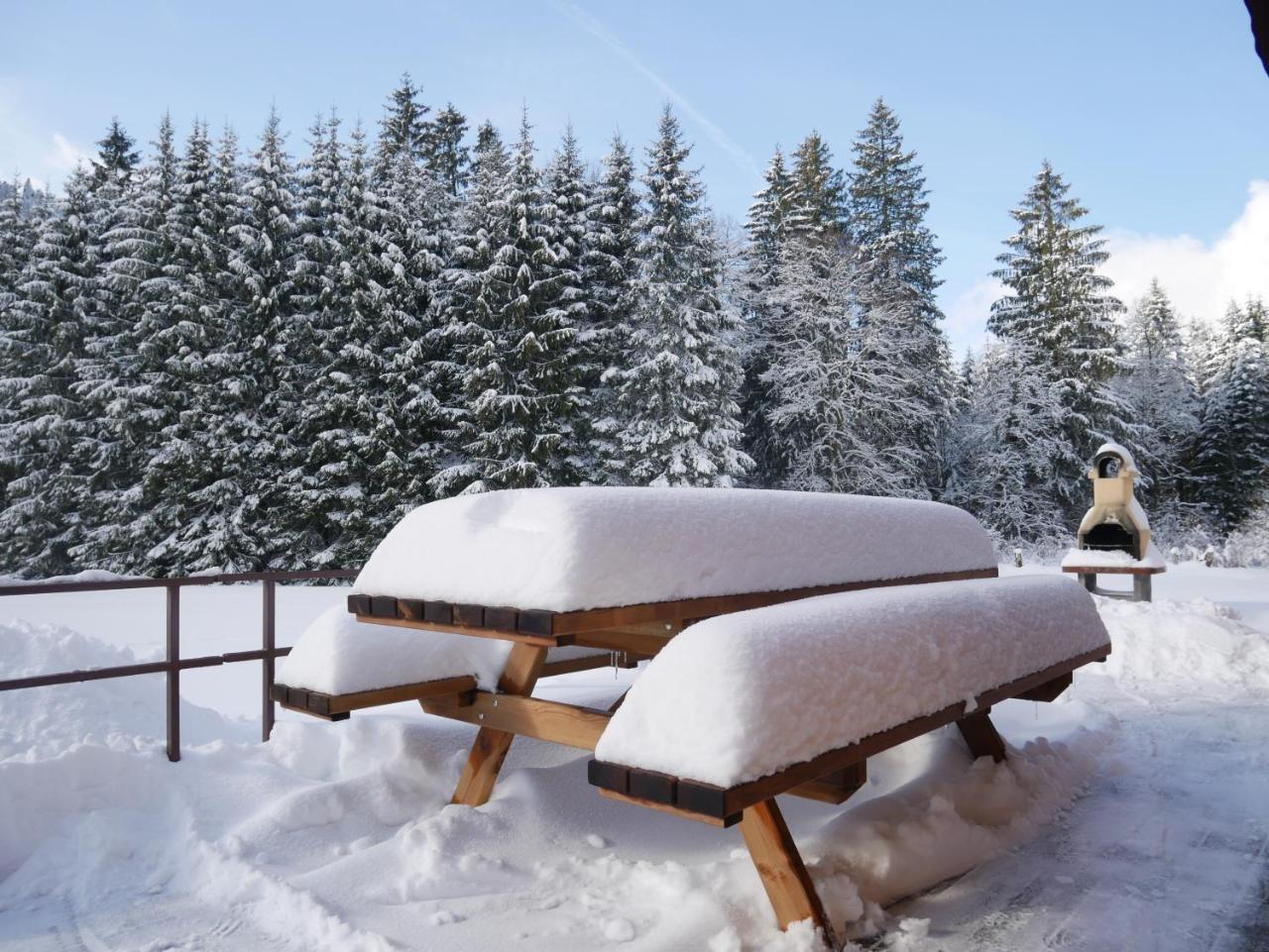 Chalet Au Bord Du Lac De Longemer Xonrupt-Longemer ภายนอก รูปภาพ