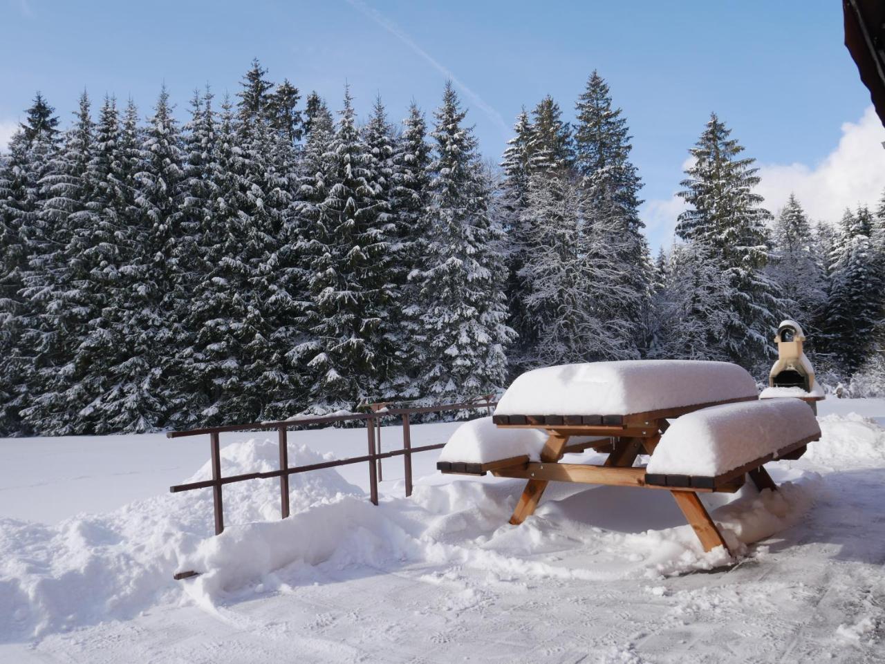 Chalet Au Bord Du Lac De Longemer Xonrupt-Longemer ภายนอก รูปภาพ
